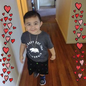 Meet your Posher, Lulu